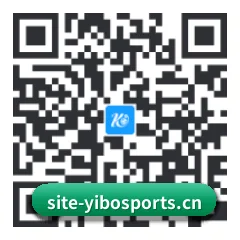 APP 安卓 二维码